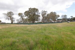 Road upgrade changes to save trees