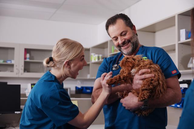 Be careful with Christmas leftovers