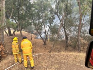 Brigades band together to fight Longwood fires