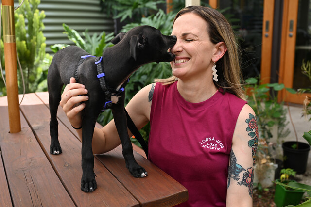 Free pet lovers event