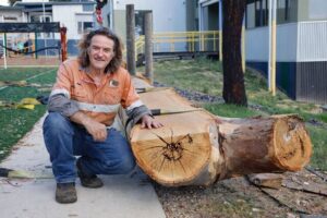 Timber gets a second life