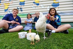 Whittlesea Show day brings country life to town