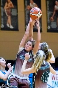 Craigieburn Eagles soar in Big V upset