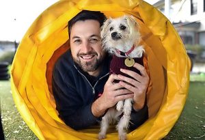 Lost pets from Hume to be posted online