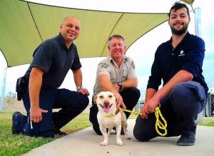 New Epping pound for animals great and small