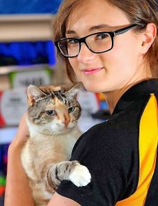 RSPCA wants to rehome 200 cats over four days