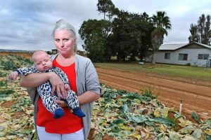 More services needed for premature babies