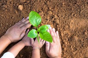 Northern community calendar May 29, 2018