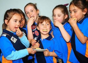 Hume Guides mark 60 years of Girl Guide bikkies