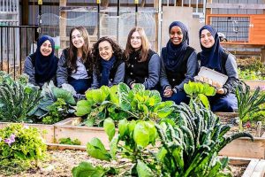 Sirius College students dig deep to build wells