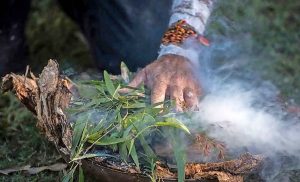 What’s on in the north