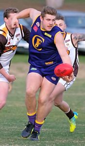 Jacana toughs it out