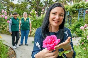 Bulla rose garden in full bloom for 21st anniversary