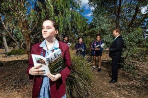 Marymede college students pen Black Saturday poetry book