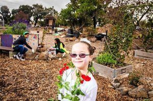 Planting day brightens up Links Community Garden