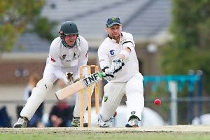 Bats opting for young blood