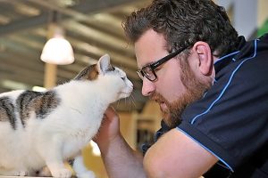 Fine affinity with felines