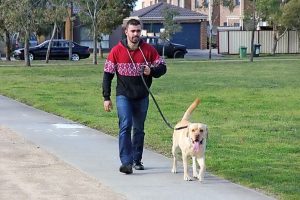 Fake council workers attempt to steal dog