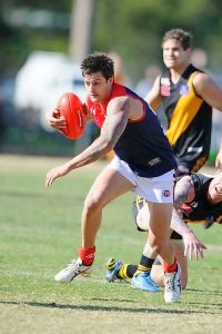 Demons up for dog fight