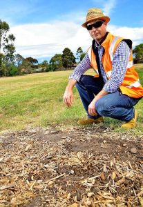 Vandals attack trees in Epping park