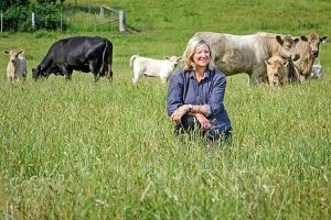 Urban sprawl threatens local food supply