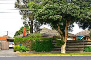 Woman still critical after Thomastown house fire