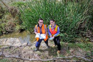 Only the best for Bundoora’s frogs