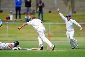 Kangaroos lose sting in their tail