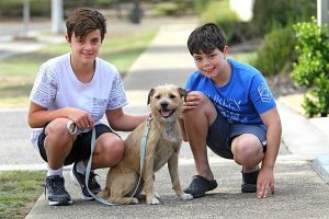 Million Paws to the rescue